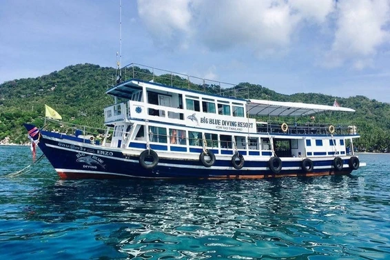 Koh Tao Dive Day Trips