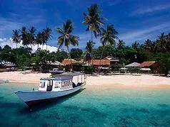 View our dive resort and day trip options