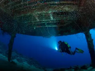 View our best destinations for wreck diving